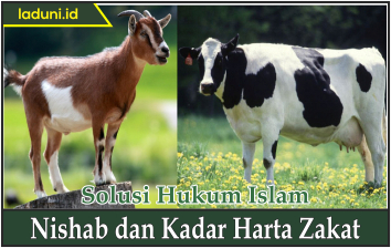 Nishab dan Kadar Harta Zakat